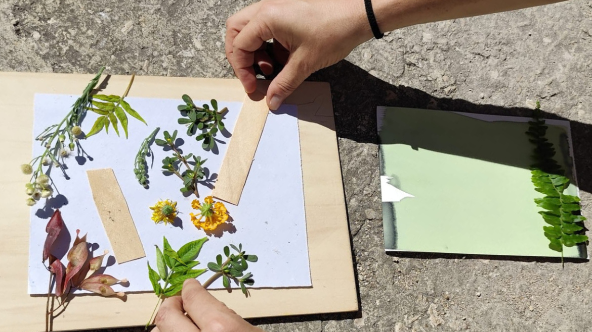 Cyanotype Workshop